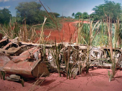 Japanese zero crash landing in Niihau