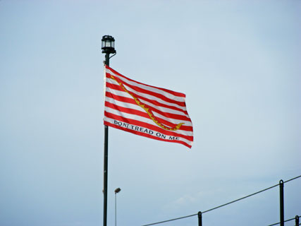 First Navy Jack - Don't tread on me flag