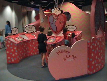 child looking at children's museum exhibit