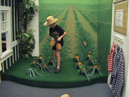child in museum picking pineapples on a plantation
