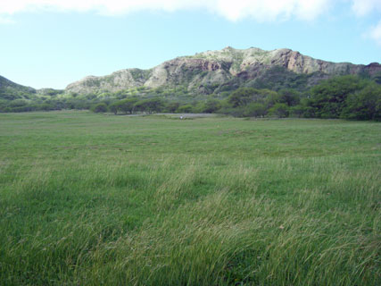 Inside the Diamond Head crater floor