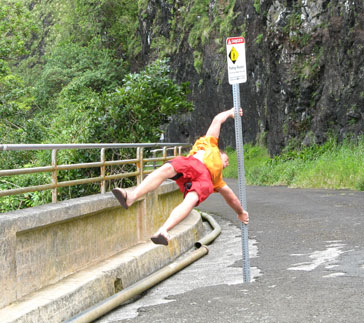 windy at Pali Lookout