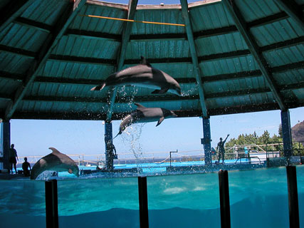  Hawaiian Ocean Theater