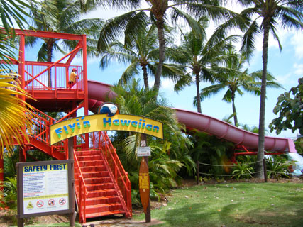 Wet-n-wild Hawaii - Flying Hawaiian