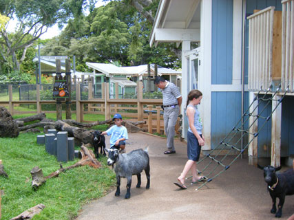 Keiki Zoo