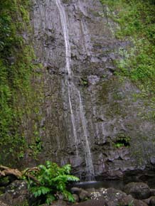 Manoa Falls