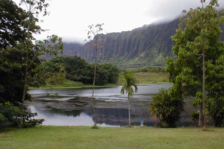 Ho'omaluhia Botanical Garden