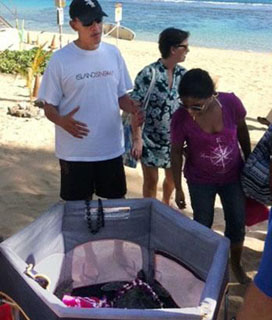 Obama releases baby sea turtles at Hanauma Bay